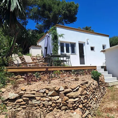 Les Bromelias Ile Du Levant *