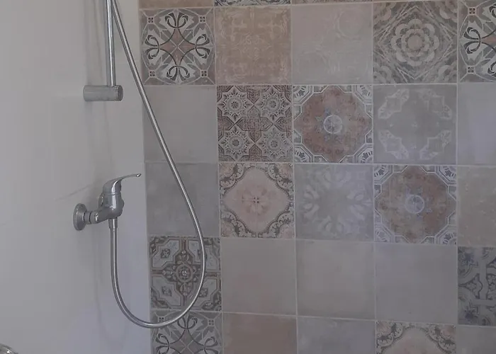 Les Bromelias Ile Du Levant *