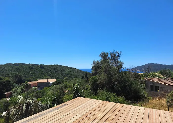 Les Bromelias Ile Du Levant * Hyères