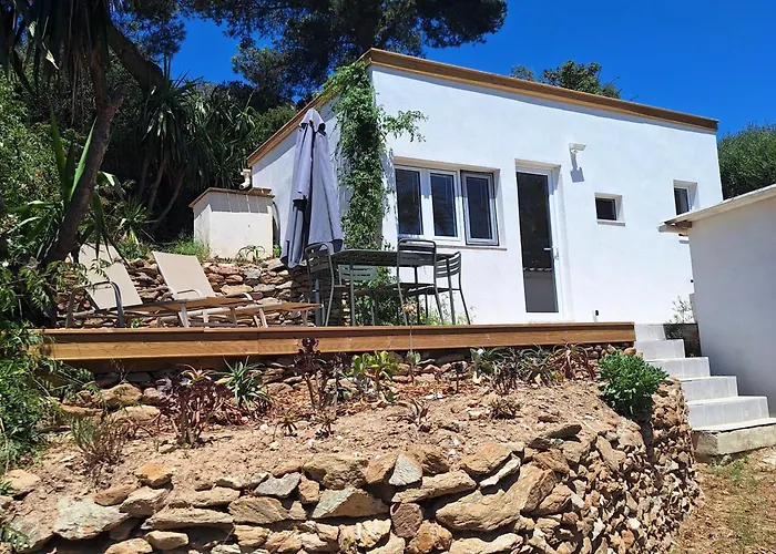 Les Bromelias Ile Du Levant *