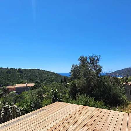 Les Bromélias Ile Du Levant * Hyères