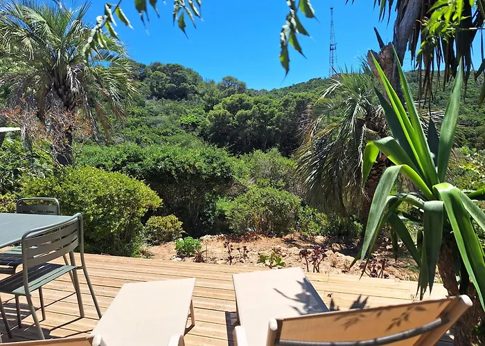 Les Bromelias Ile Du Levant *