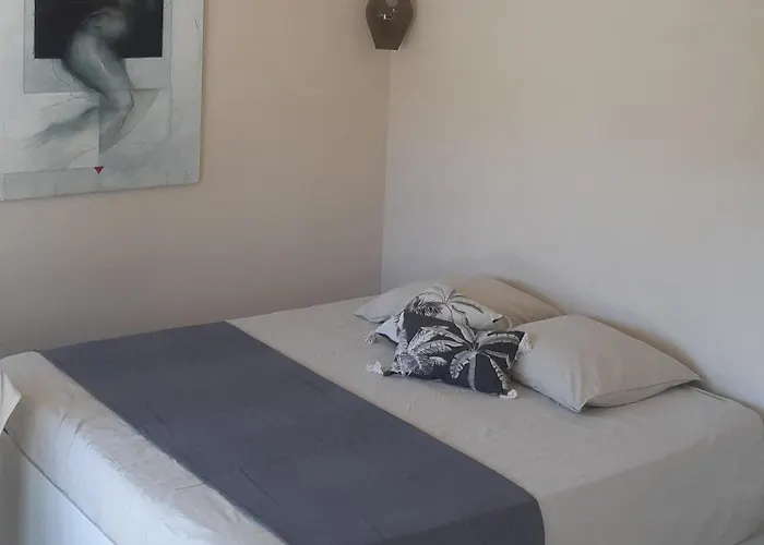 Les Bromelias Ile Du Levant Feriehus