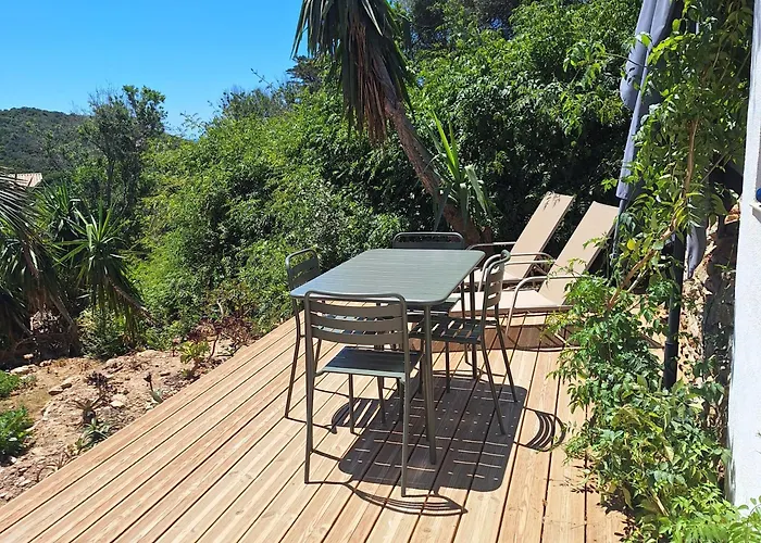 Les Bromelias Ile Du Levant